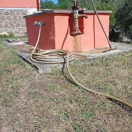 Campo Del Gatto *