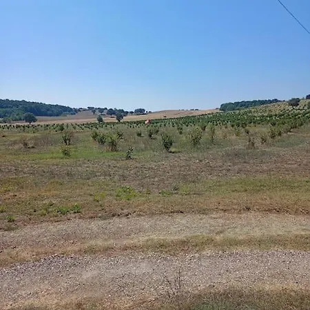 Campo Del Gatto Hébergement de vacances Viterbe