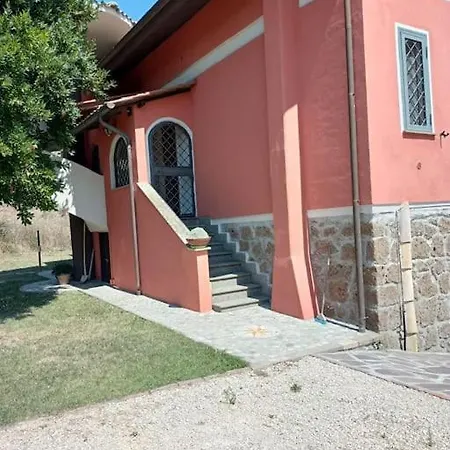 Campo Del Gatto